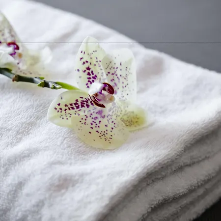 Hotell Milling Sopark